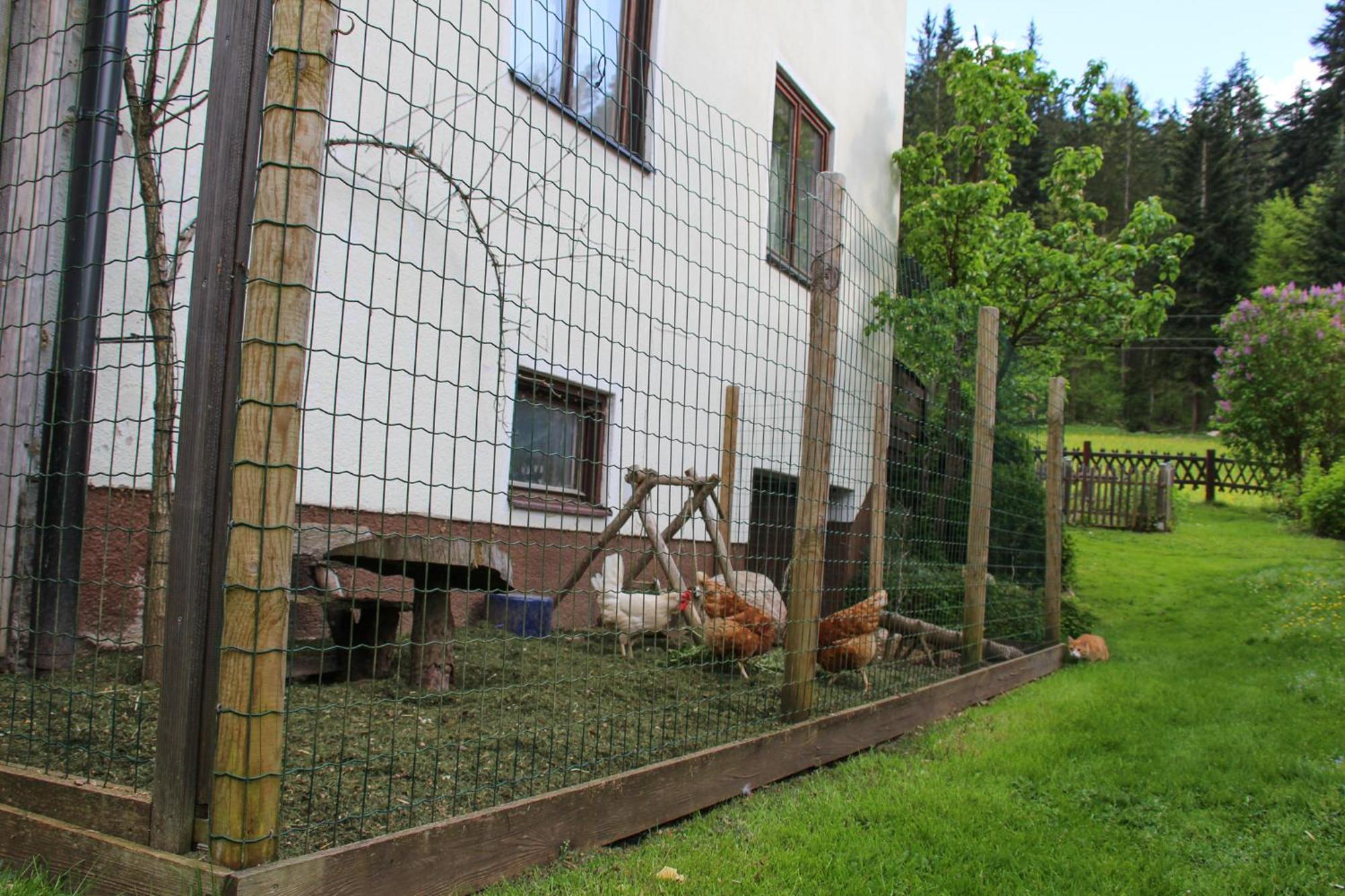 Frieda'S Platzl Daire Abtenau Dış mekan fotoğraf