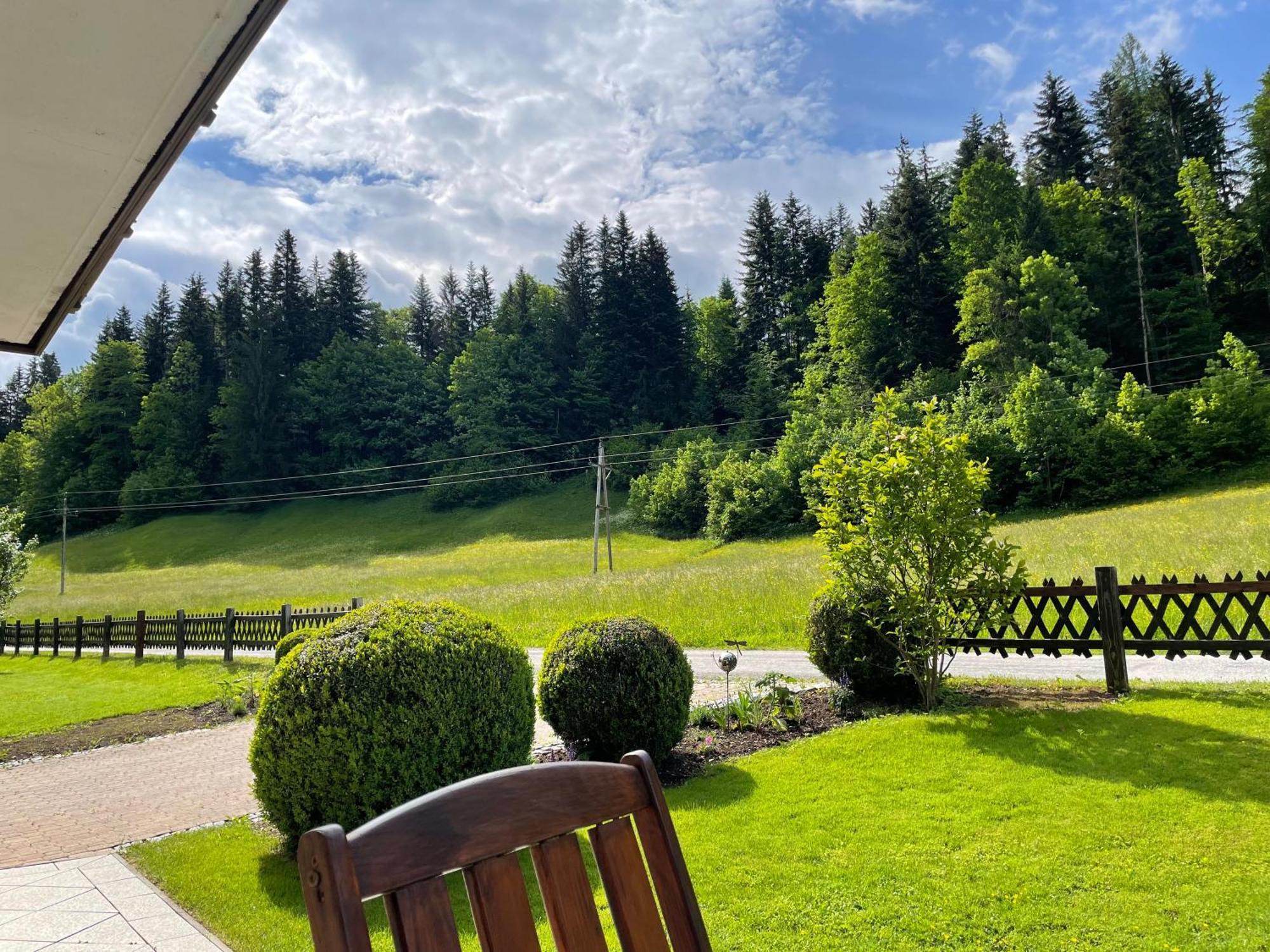 Frieda'S Platzl Daire Abtenau Dış mekan fotoğraf